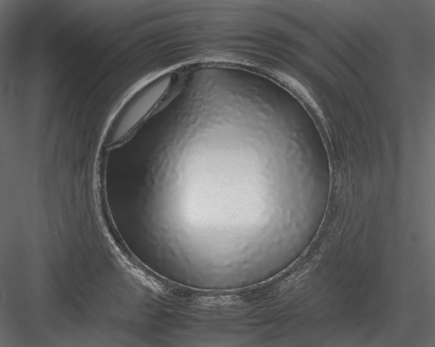 X0000082941133200702222240