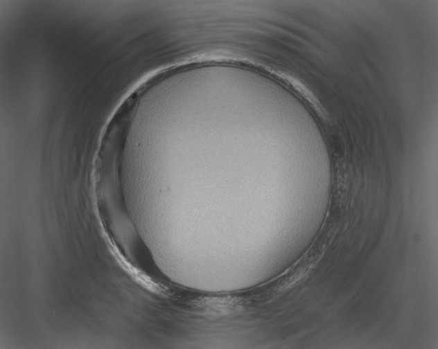 X0000082941134200702222240