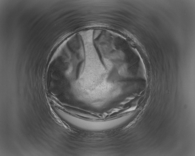 X0000082941137200702222240