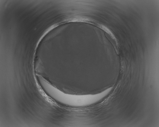 X0000082941138200702222240