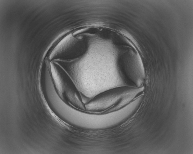 X0000082941139200702222240