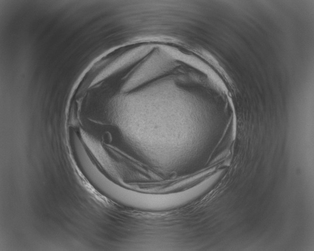 X0000082941140200702222240