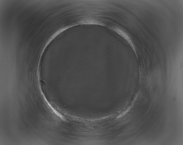 X0000082941141200702222240