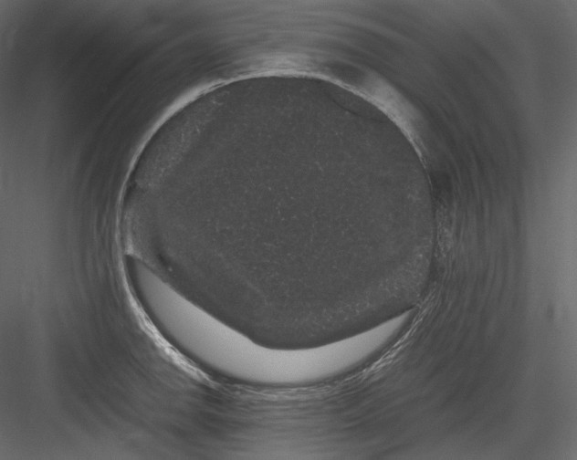 X0000082941142200702222240