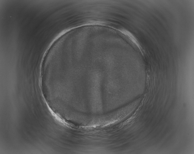 X0000082941143200702222240