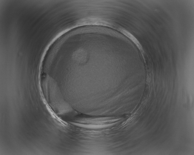 X0000082941144200702222240