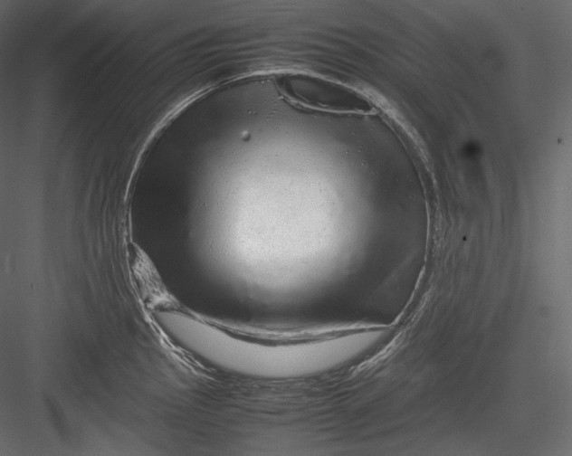 X0000082941145200702222240