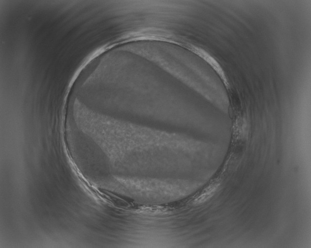 X0000082941146200702222240