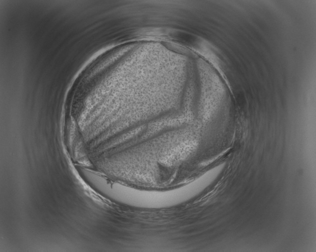 X0000082941147200702222240