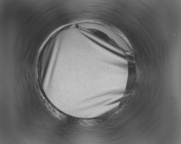 X0000082941148200702222240