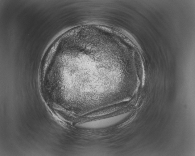 X0000082941149200702222240