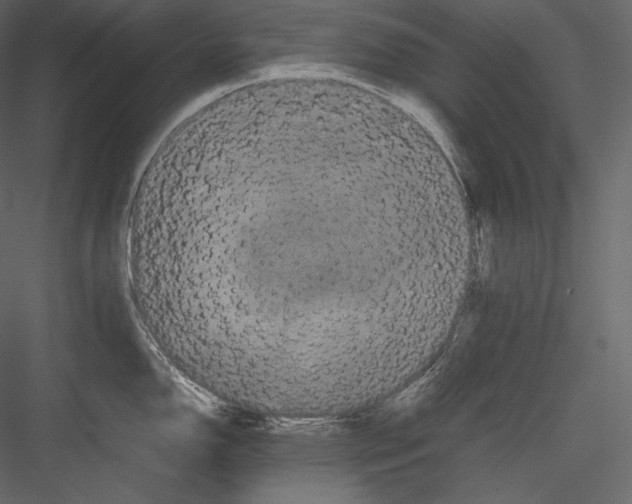 X0000082941150200702222240