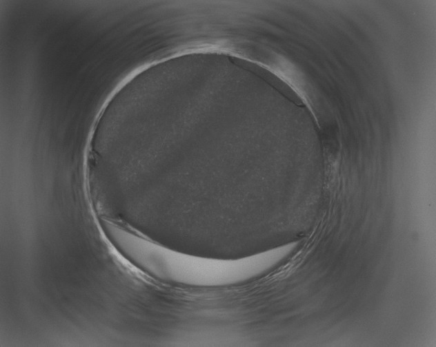 X0000082941151200702222240