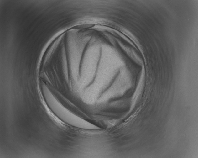 X0000082941152200702222240