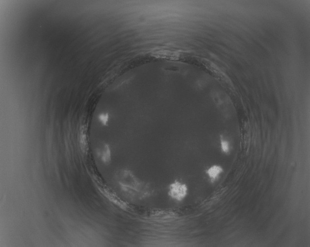 X0000082941154200702222239