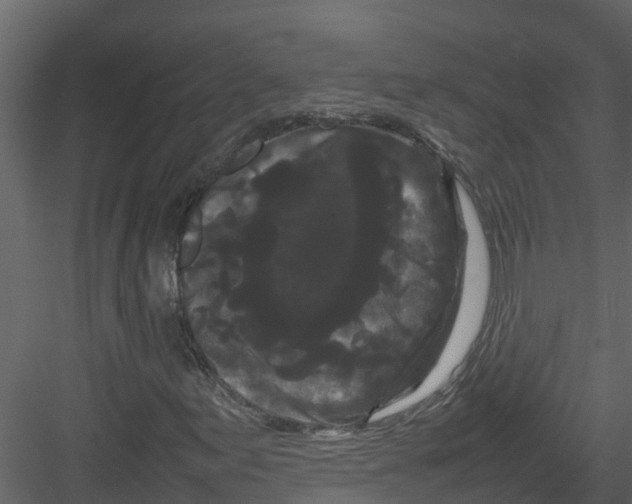 X0000082941155200702222239