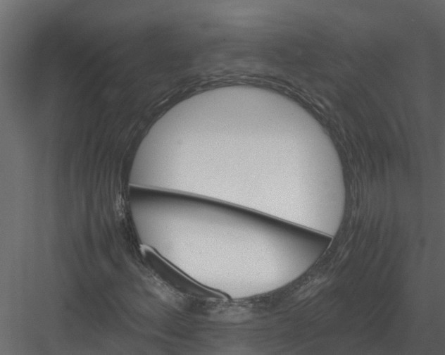 X0000082941156200702222239