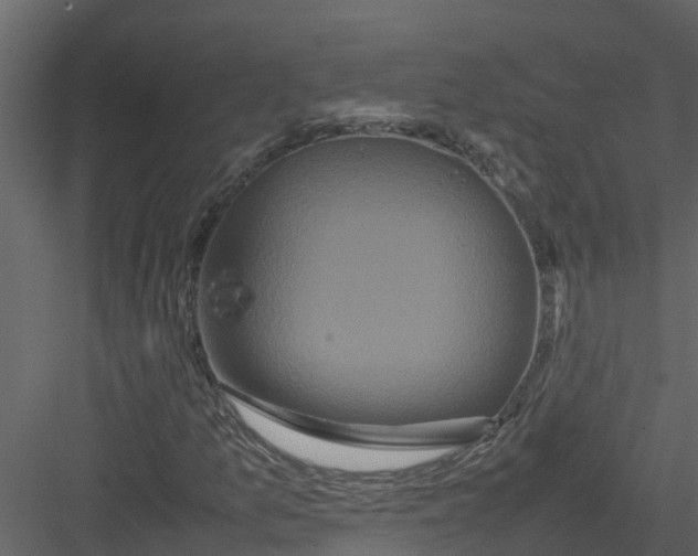 X0000082941157200702222239