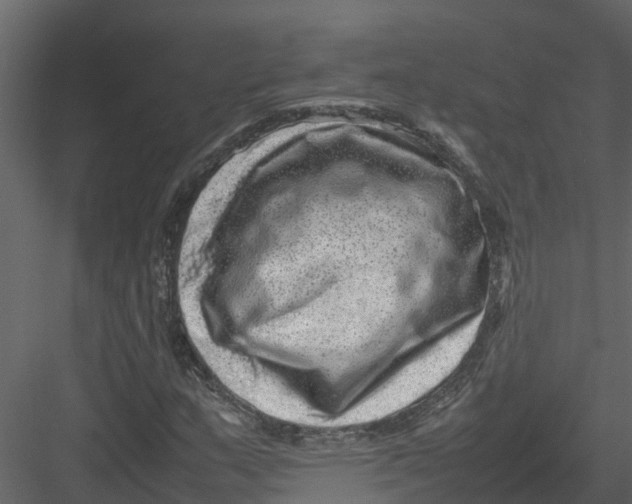 X0000082941159200702222239