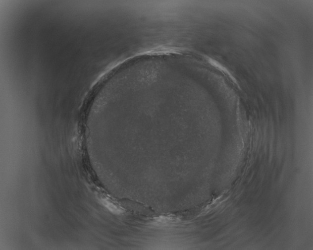 X0000082941160200702222239