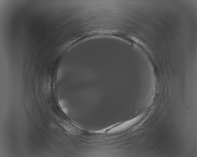 X0000082941161200702222239