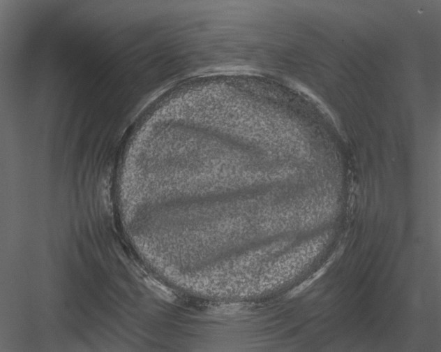 X0000082941162200702222239