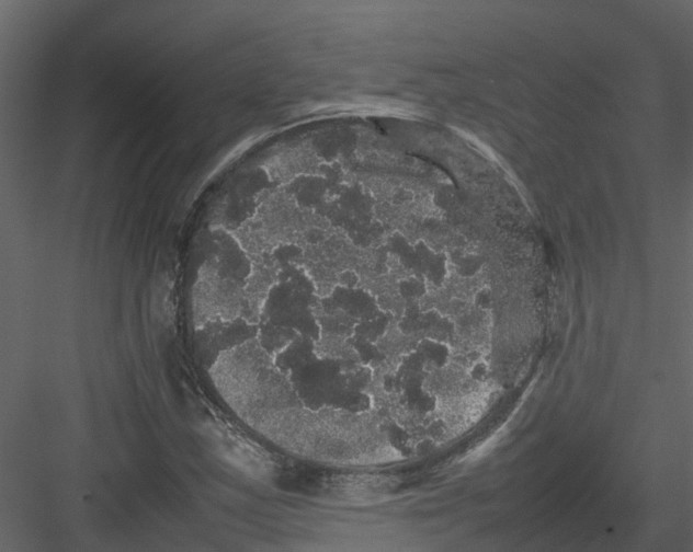 X0000082941163200702222239