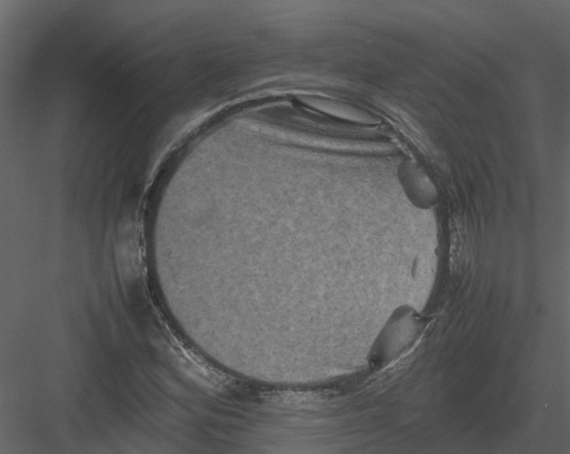 X0000082941164200702222239