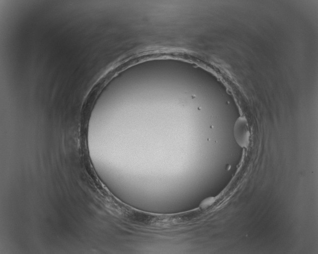 X0000082941165200702222239