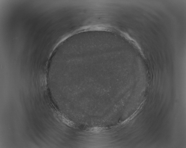 X0000082941166200702222239