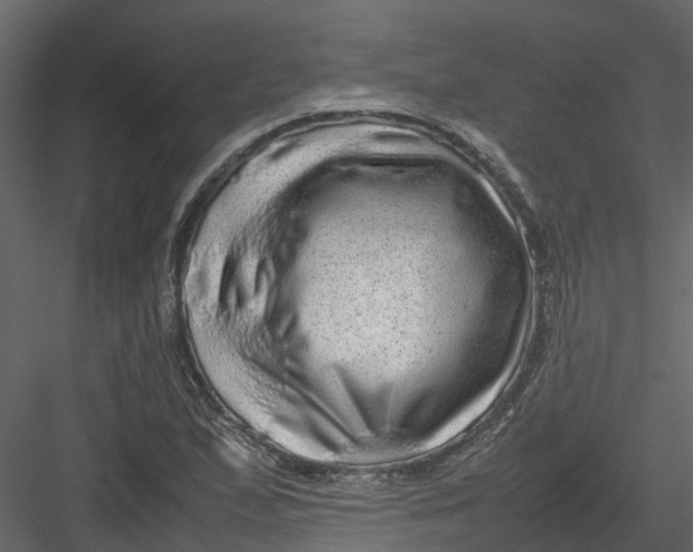 X0000082941167200702222239