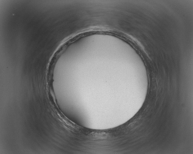 X0000082941168200702222239