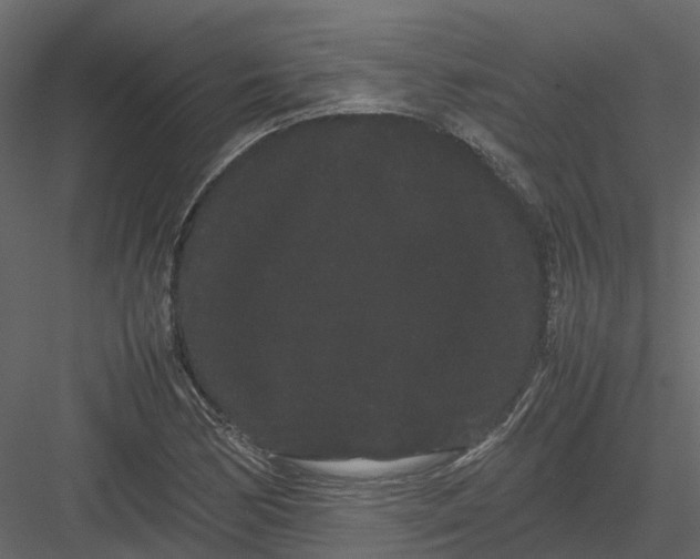 X0000082941170200702222239