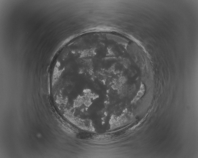 X0000082941171200702222239