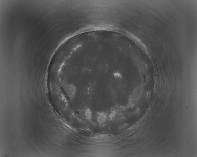 X0000082941174200702222239