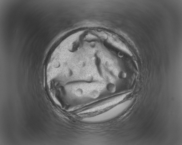 X0000082941175200702222239