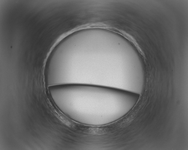 X0000082941176200702222239