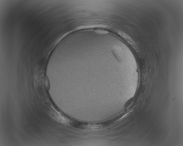 X0000082941177200702222239