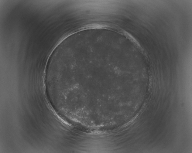 X0000082941178200702222239