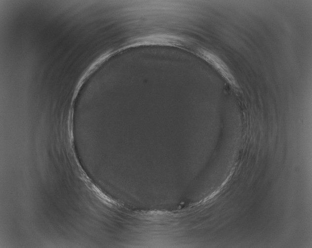 X0000082941180200702222239