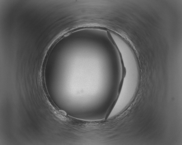 X0000082941181200702222239