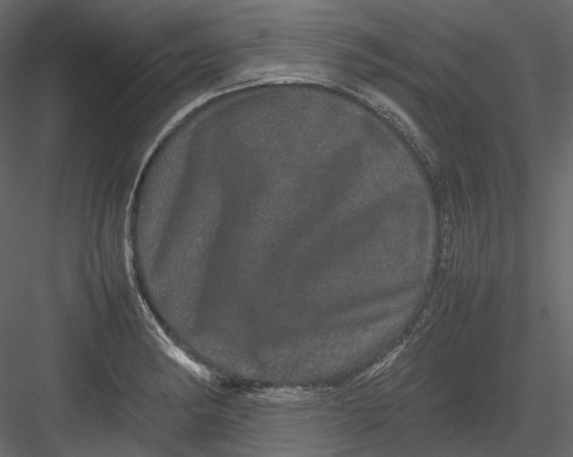 X0000082941182200702222239