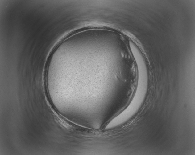 X0000082941183200702222239