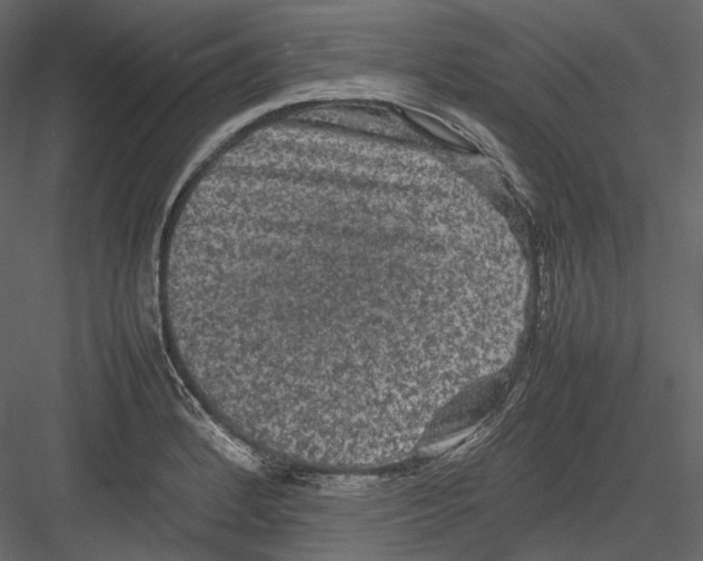 X0000082941184200702222239