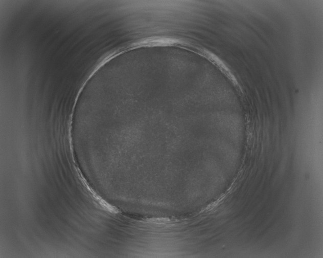 X0000082941186200702222239