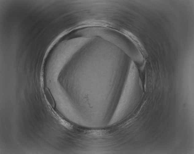 X0000082941188200702222238