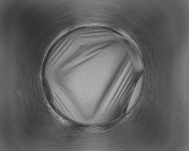 X0000082941189200702222238