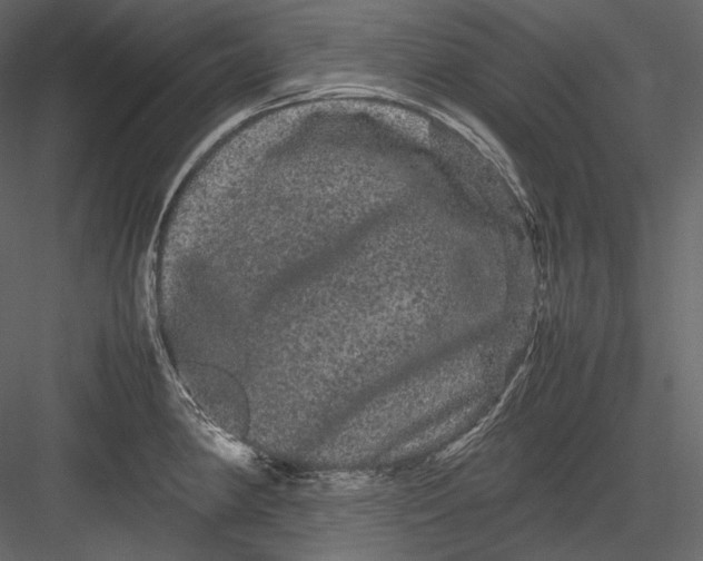 X0000082941190200702222238