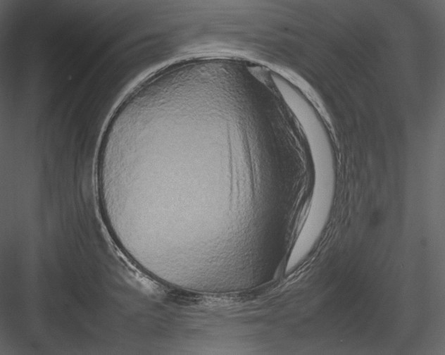 X0000082941191200702222238