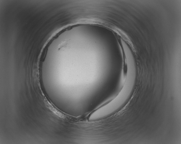 X0000082941192200702222238